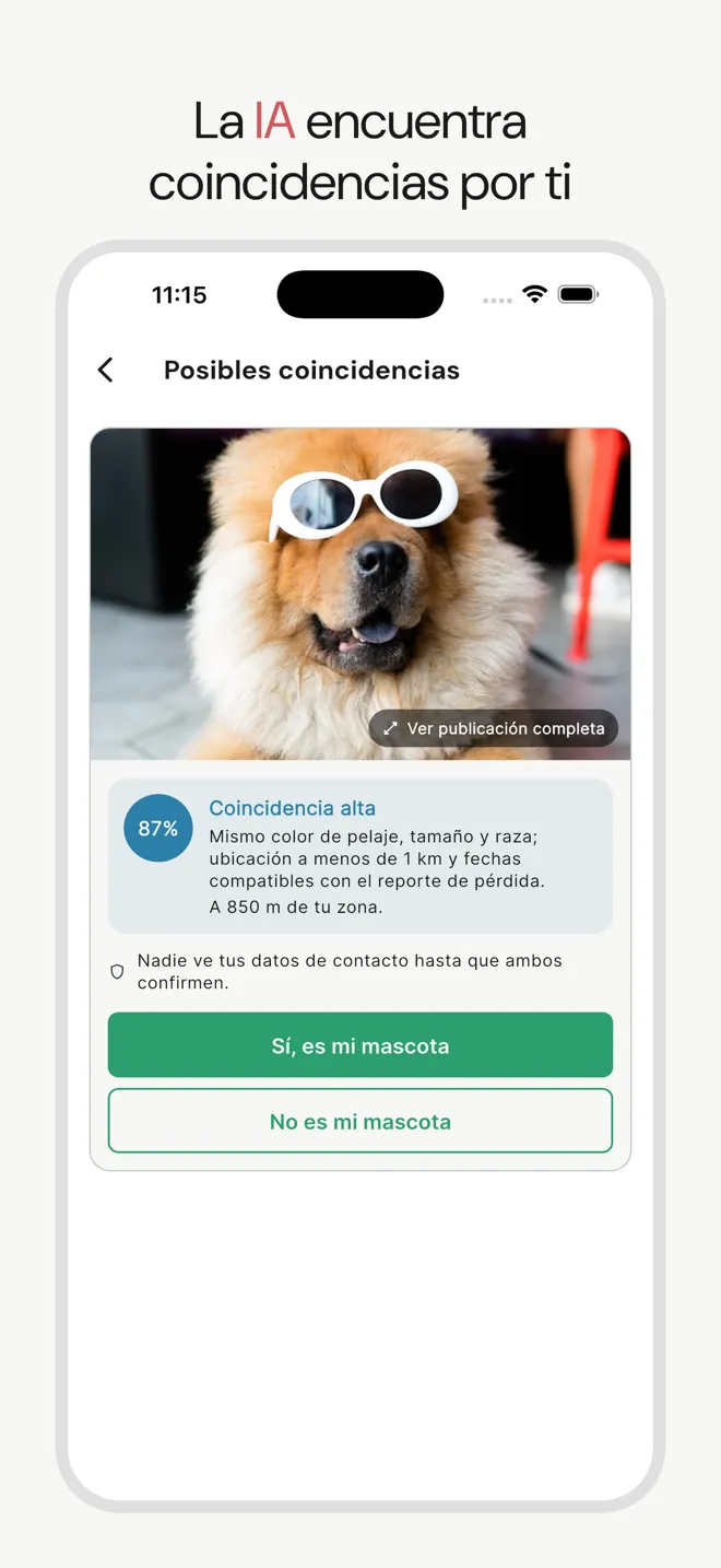 Munay mostrando una posible coincidencia entre una mascota perdida y una encontrada, calculada por IA